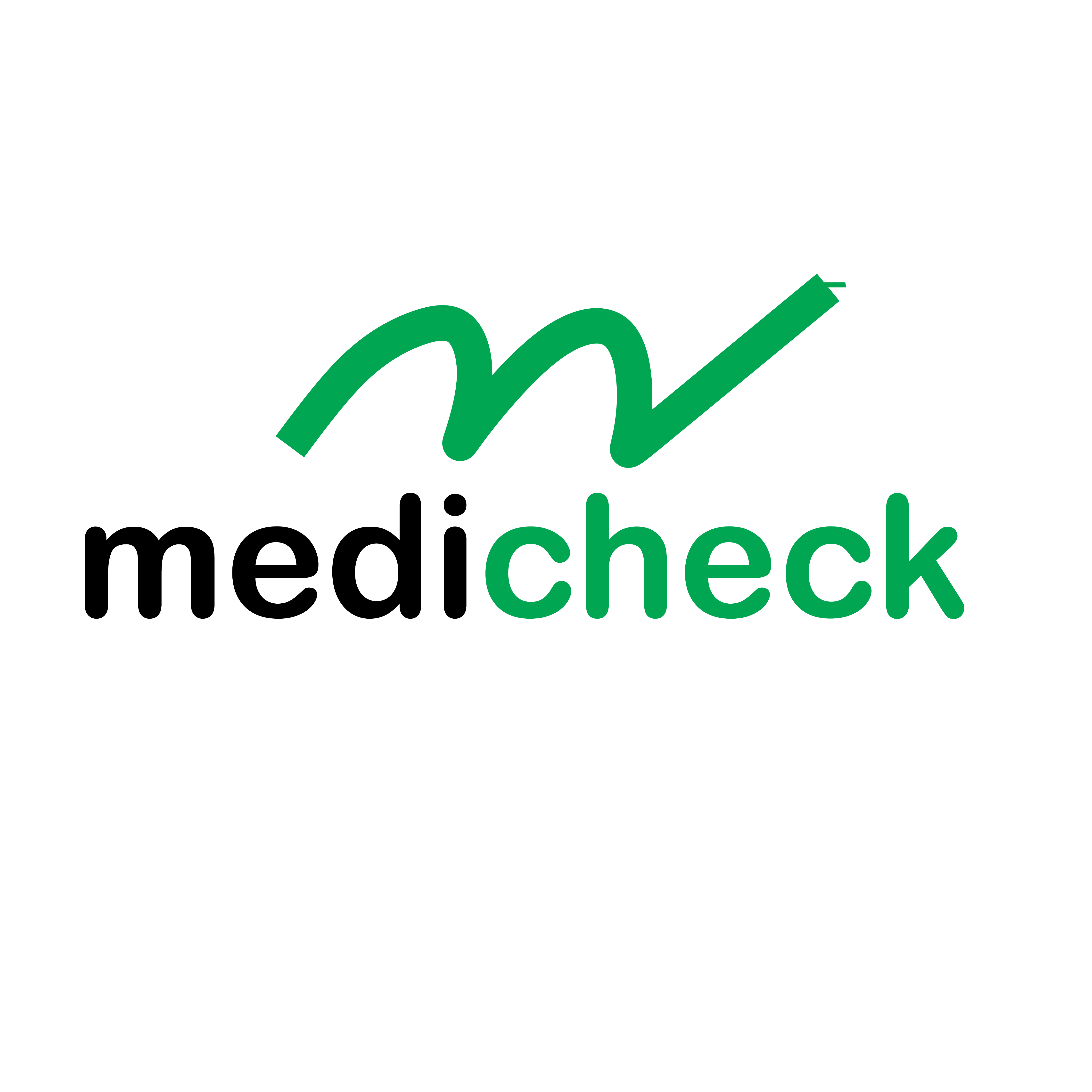 Logo Atas